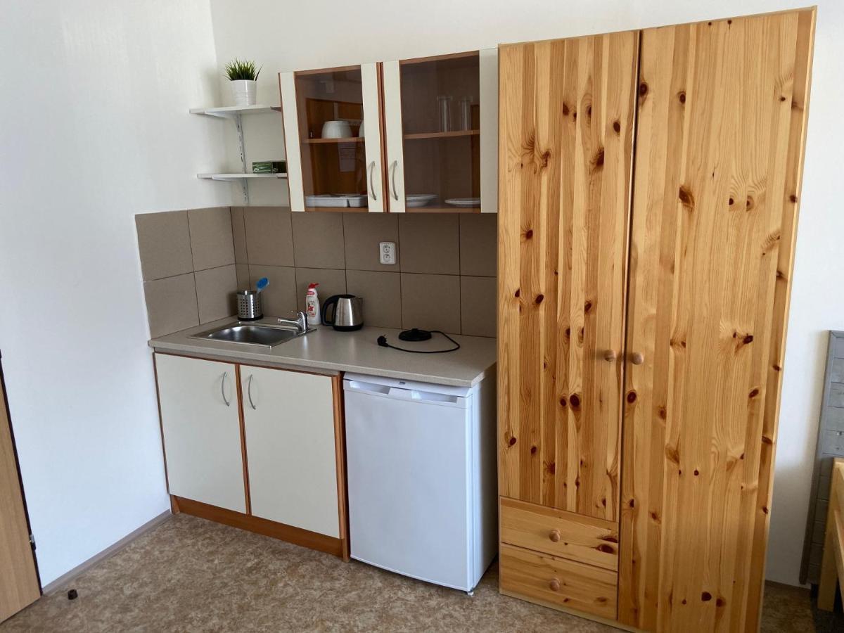 Apartmany Premyslova Hradec Králové 外观 照片